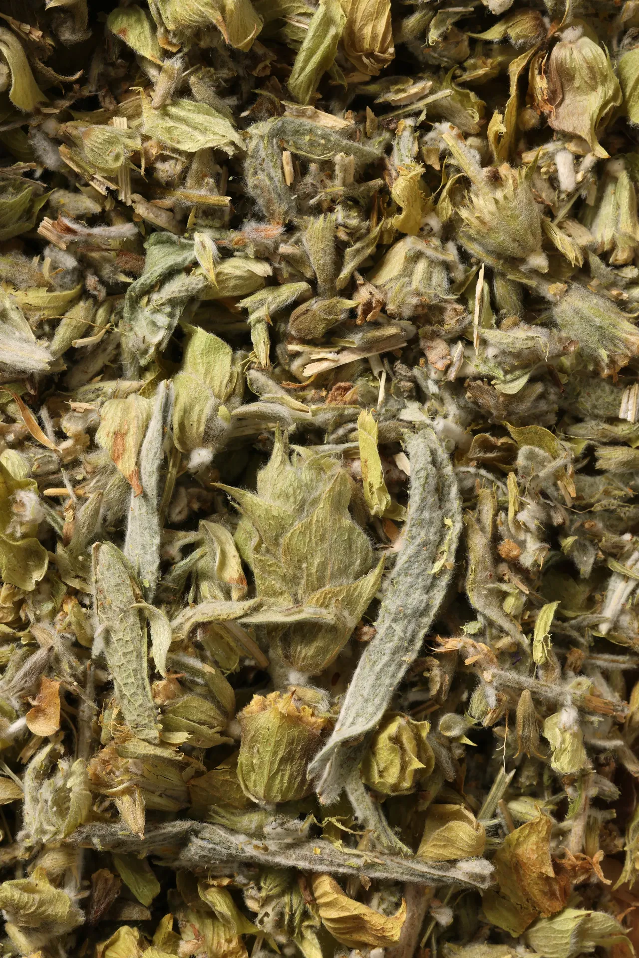 Greek Mountain Tea