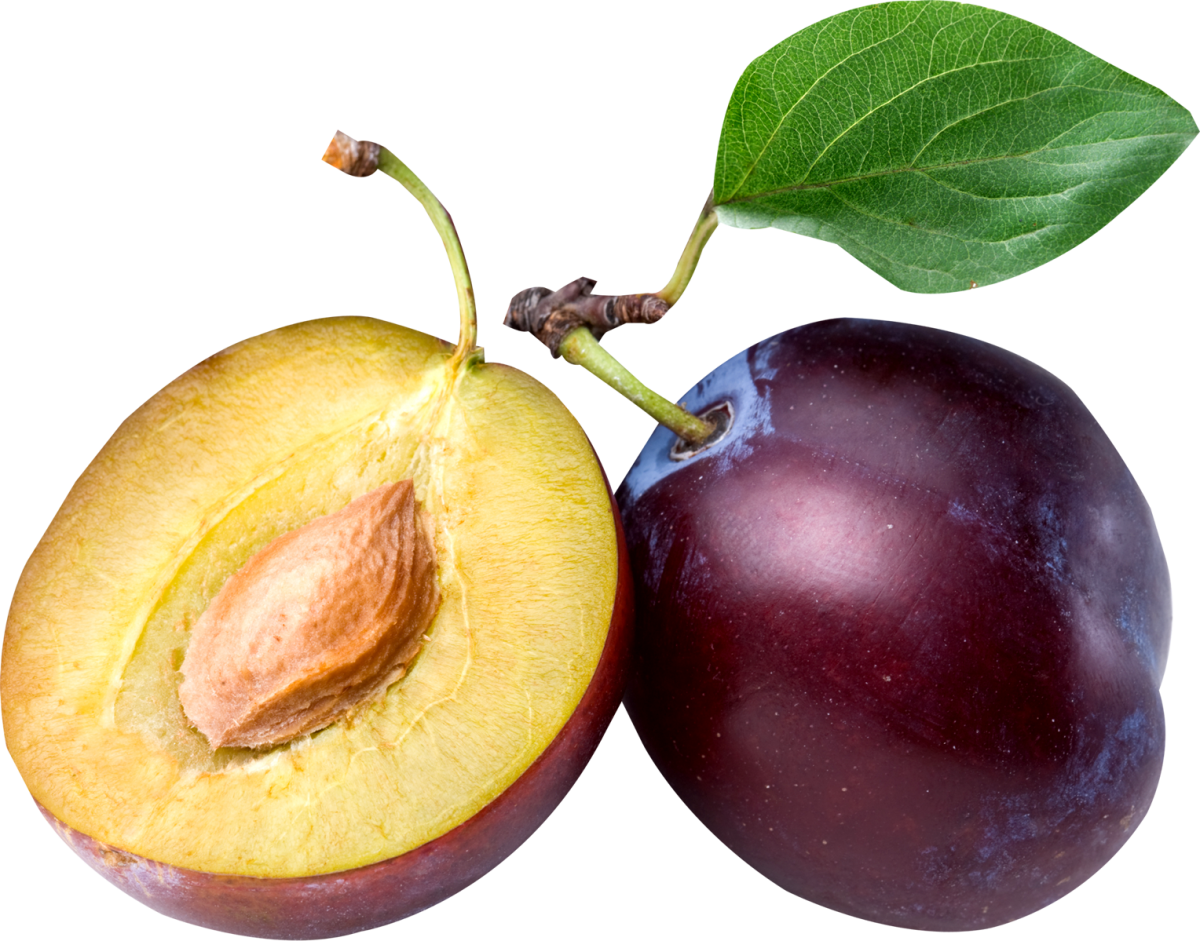 Plum
