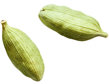 Cardamom