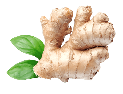 Ginger