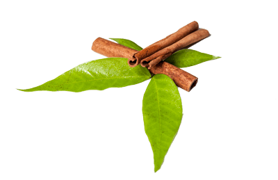 Cinnamon