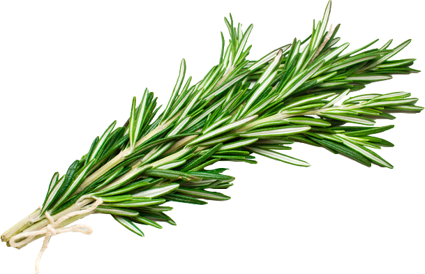 Rosemary