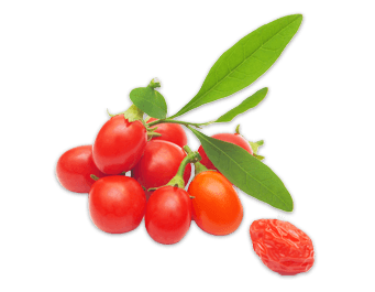 Goji-berries