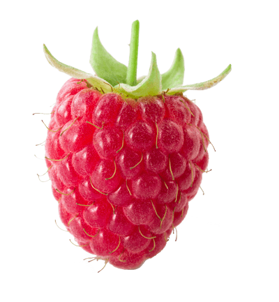 Raspberry