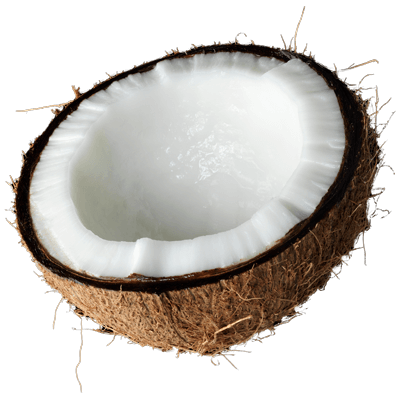 Coconut