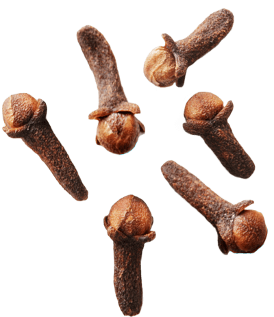 Cloves