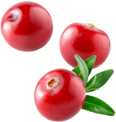 Cranberry