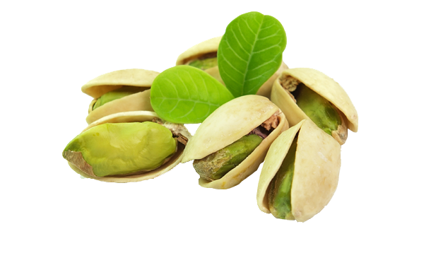 Pistachio