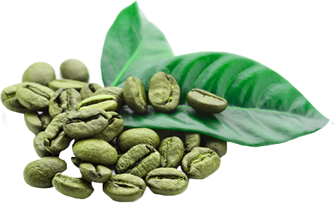 Green coffee