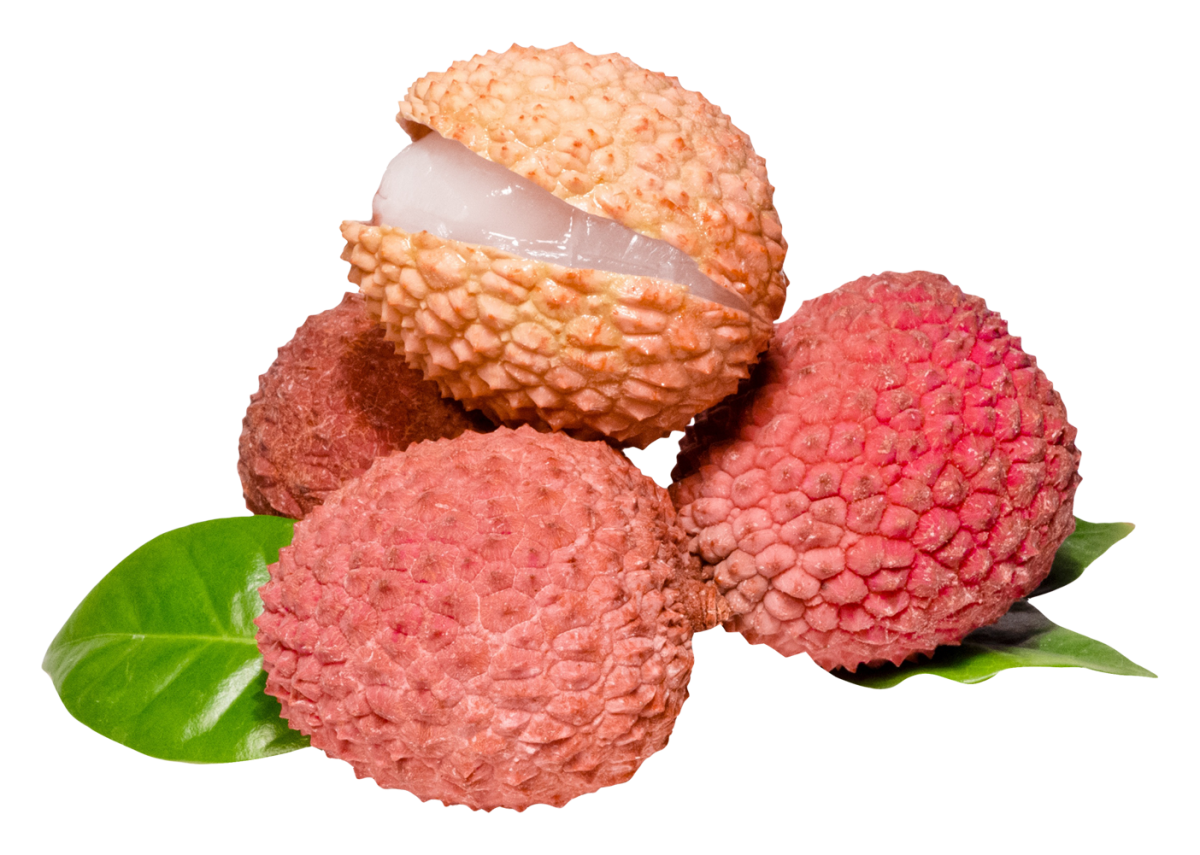 Litchi
